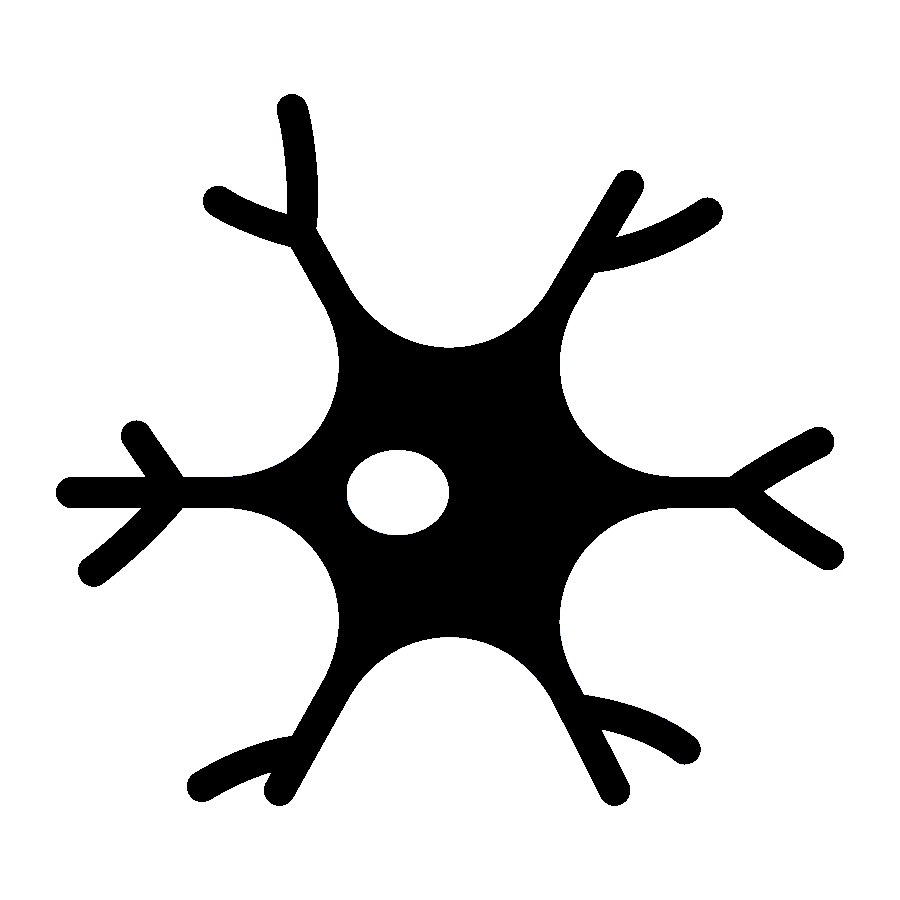 Dendrite cover image